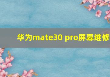 华为mate30 pro屏幕维修